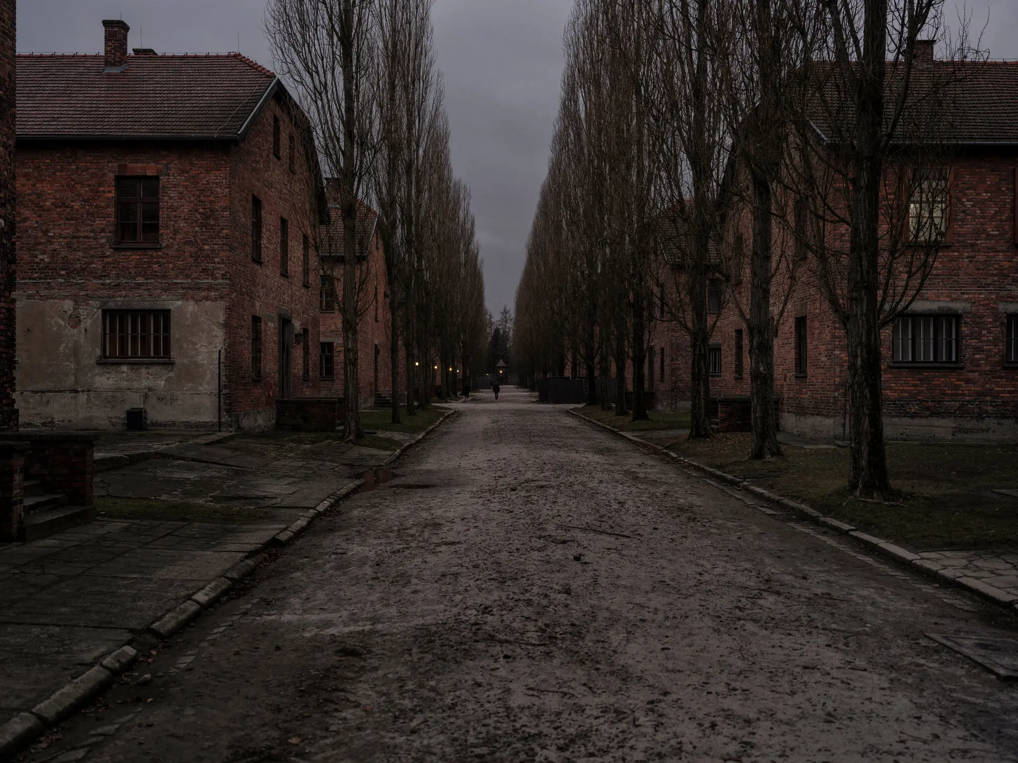 80-та річниця визволення Освенцима: пам'ять, яка протистоїть націоналізму
